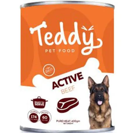 Teddy Active with Beef