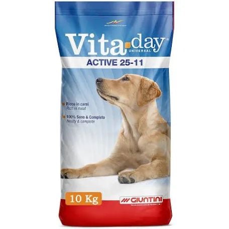 Vite Day Active