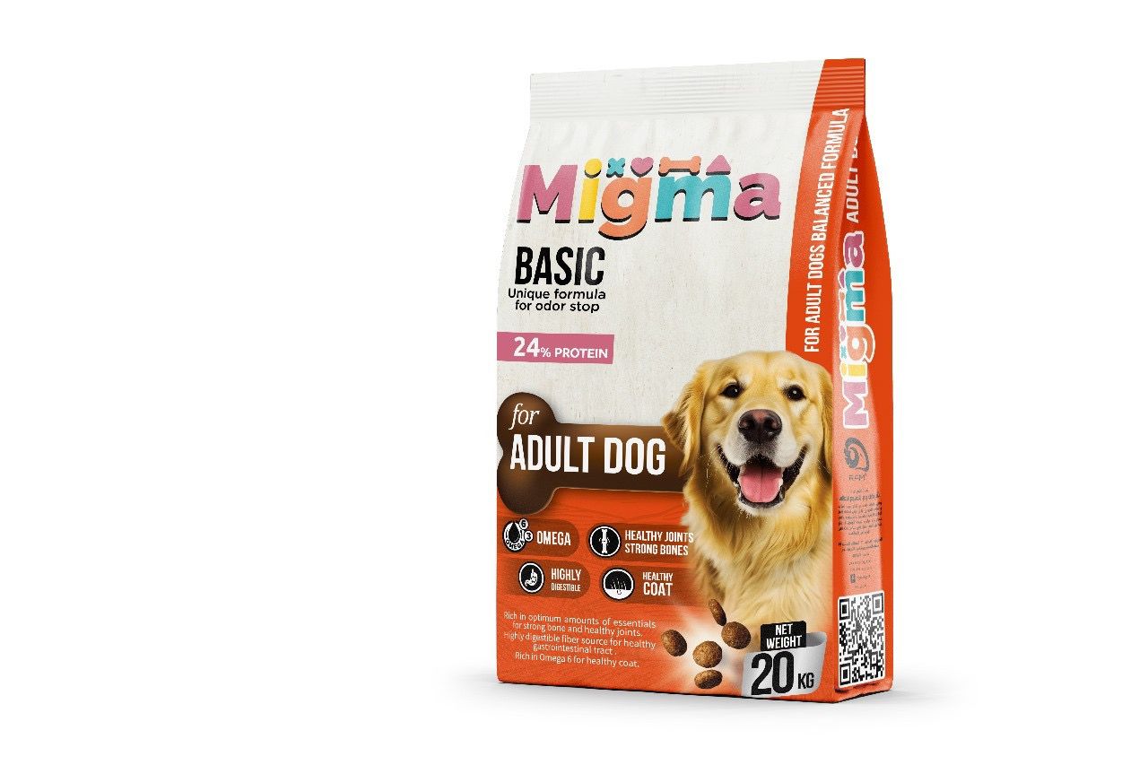 Migma adult dog