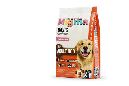 Migma adult dog