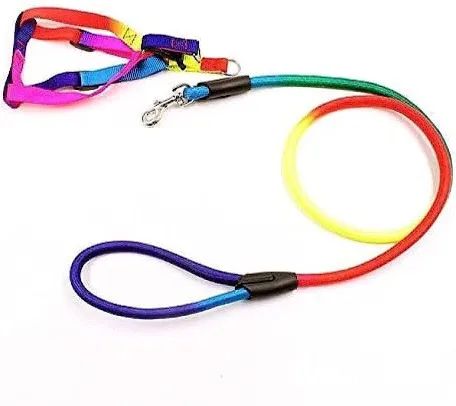 Dog Harness & Leash Rainbow